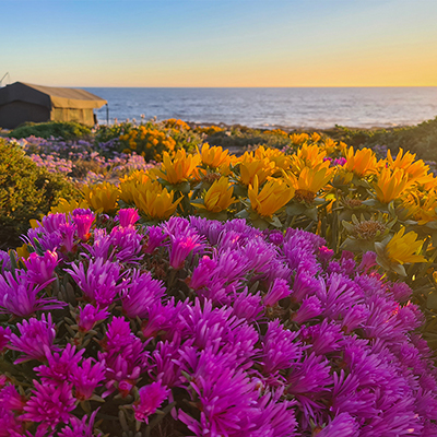 Namaqua 1
